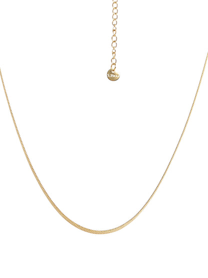 Necklace and Chains